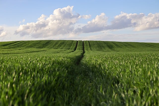 Ferien auf dem bauernhof: Landleben für die ganze familie erleben