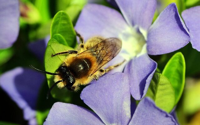 Sådan udfylder du dødsfaldsblanketter korrekt